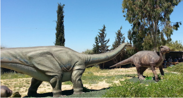 beer-sheva7