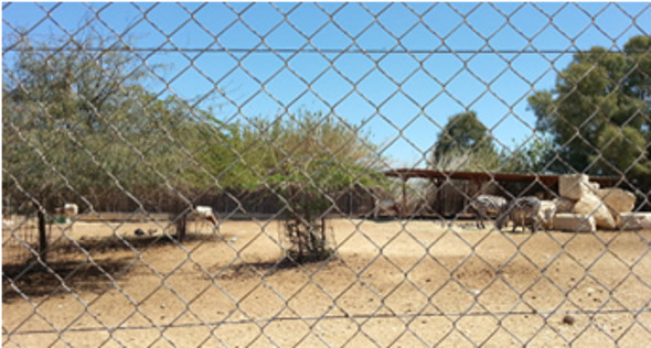 beer-sheva8